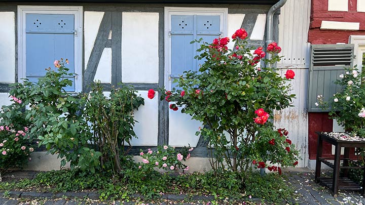 Frankfurt Höchst Burggraben eine ruhige Gasse