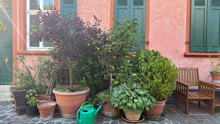 Frankfurt Höchst Burggraben eine ruhige Gasse