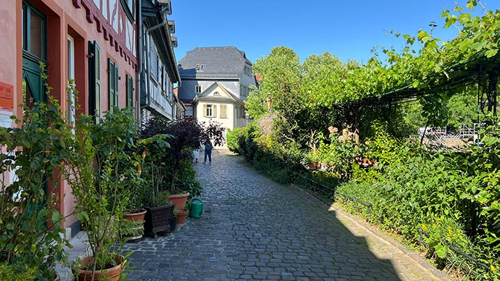 Frankfurt Höchst Burggraben eine ruhige Gasse